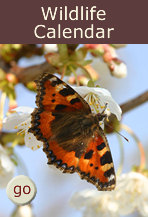 Find out how to join Gloucestershire Wildlife Trust today