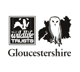 Gloucestershire Wildlife Trust - Protecting Wildlife for the Future