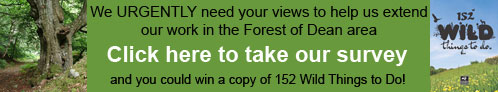 Gloucestershire Wildlife Trust Forest of Dean Survey